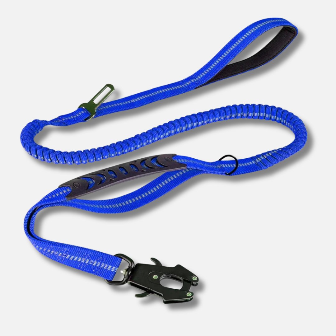Dog Leash - Reflective Shock Absorbing with Car Seatbelt