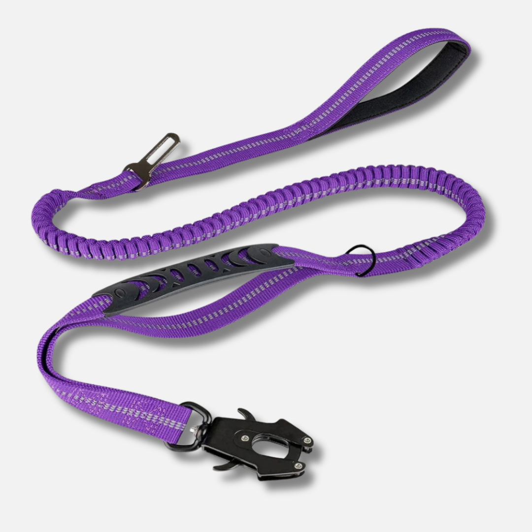 Dog Leash - Reflective Shock Absorbing with Car Seatbelt