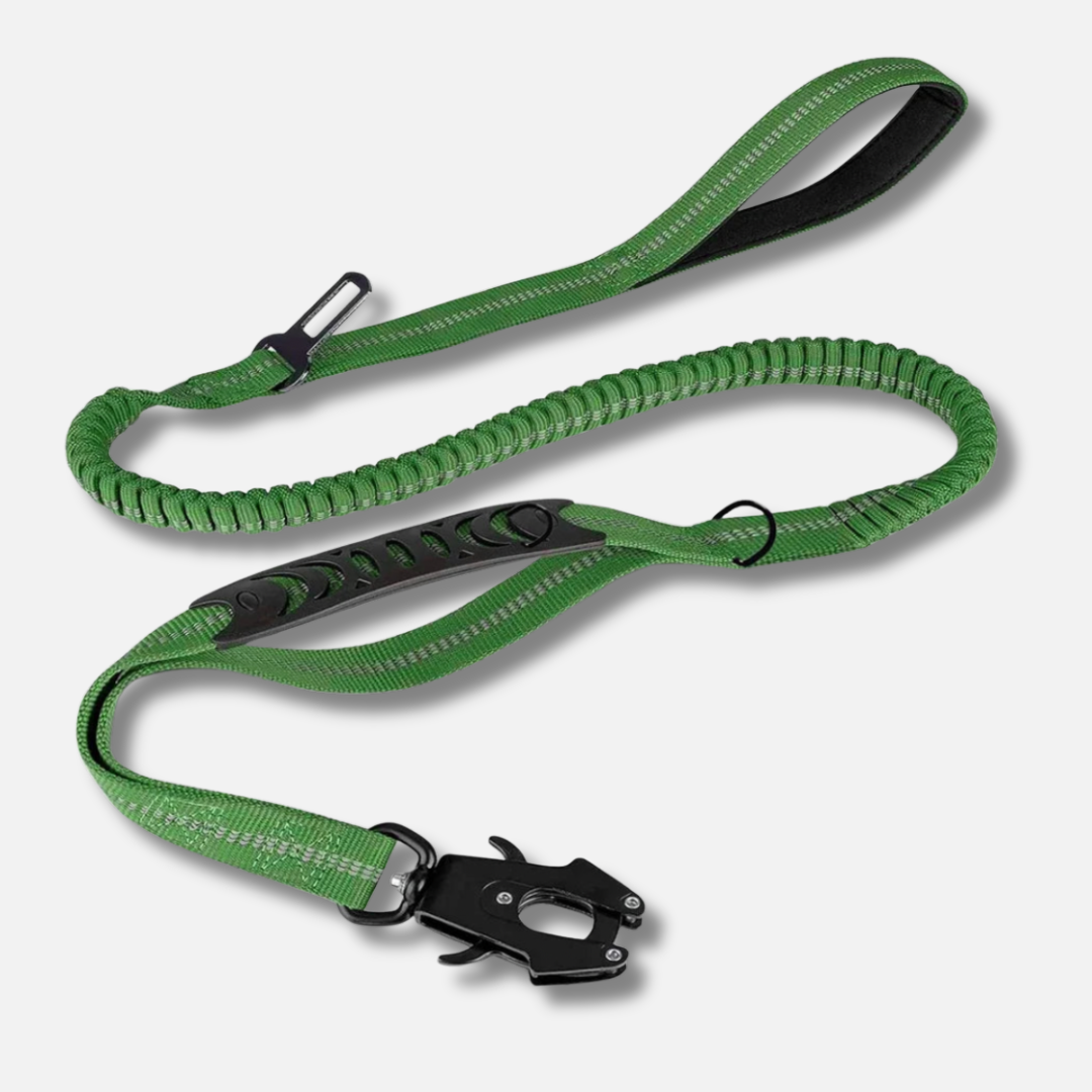 Dog Leash - Reflective Shock Absorbing with Car Seatbelt