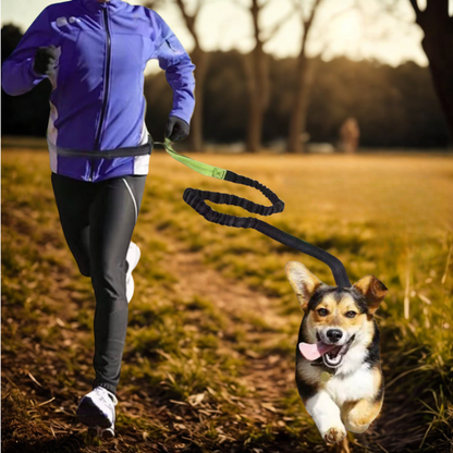 Hands-Free Dog Leash with Waist Belt
