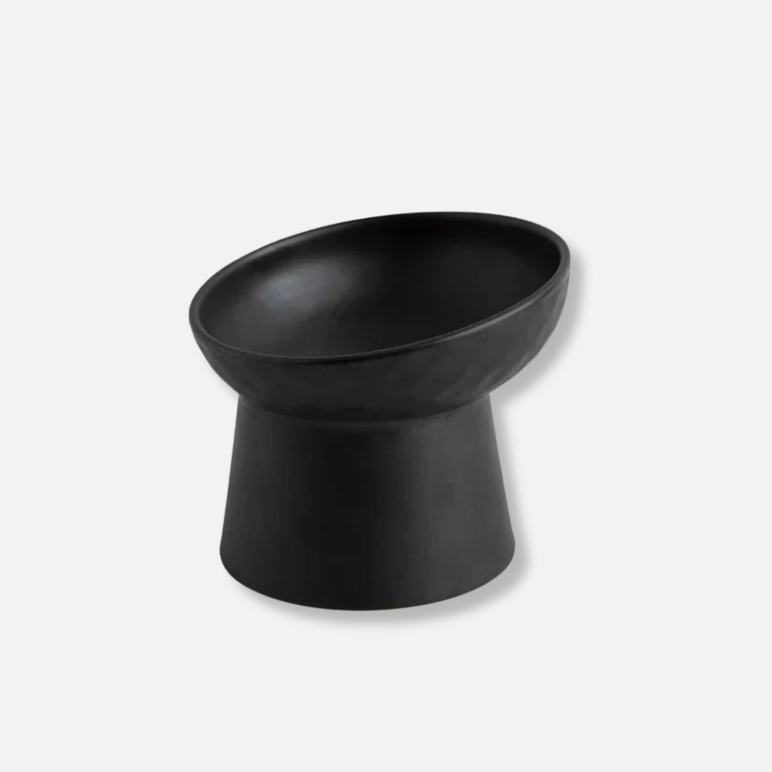 Elevated Ceramic Pet Bowl