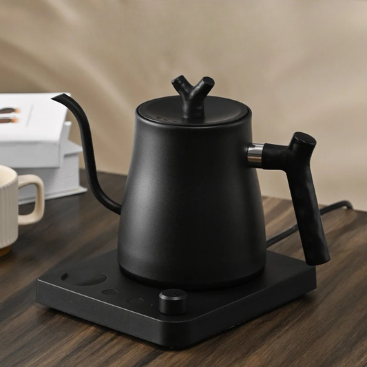 Gooseneck Electric Kettle