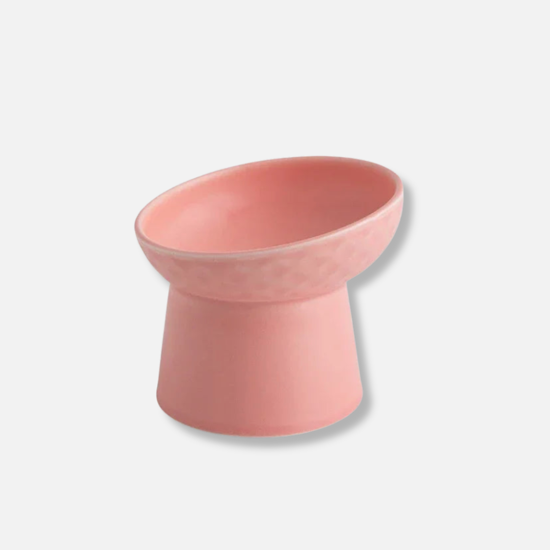 Elevated Ceramic Pet Bowl