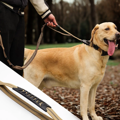 Dog Leash - Reflective Shock Absorbing with Car Seatbelt