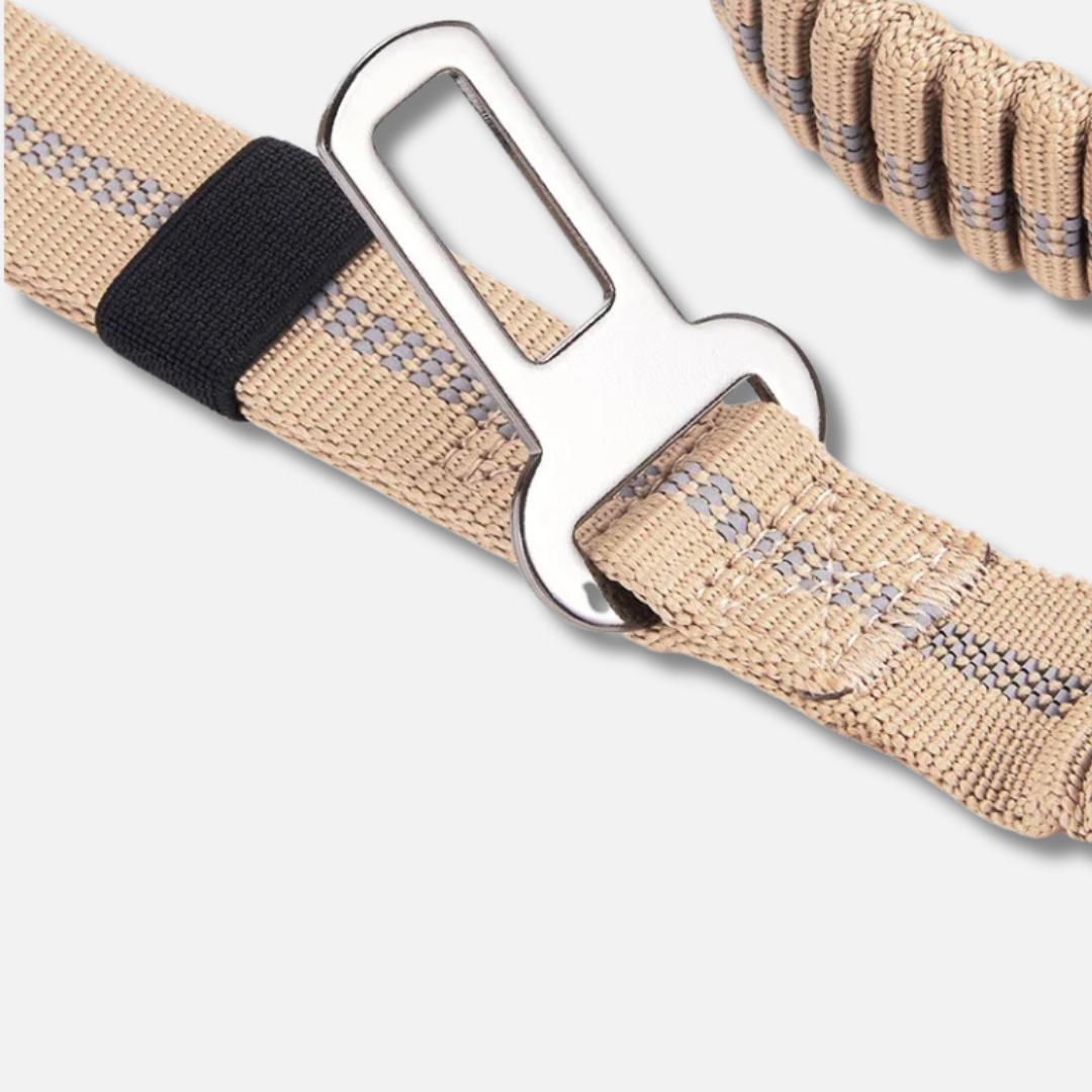 Dog Leash - Reflective Shock Absorbing with Car Seatbelt