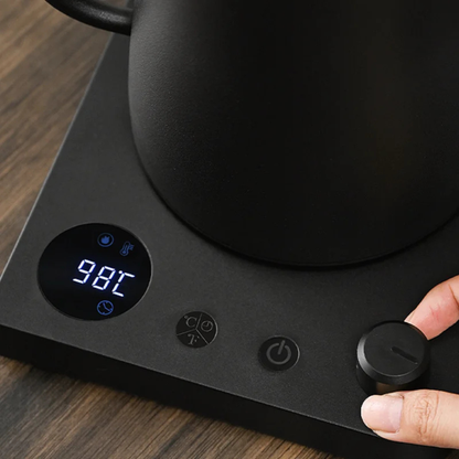 Gooseneck Electric Kettle