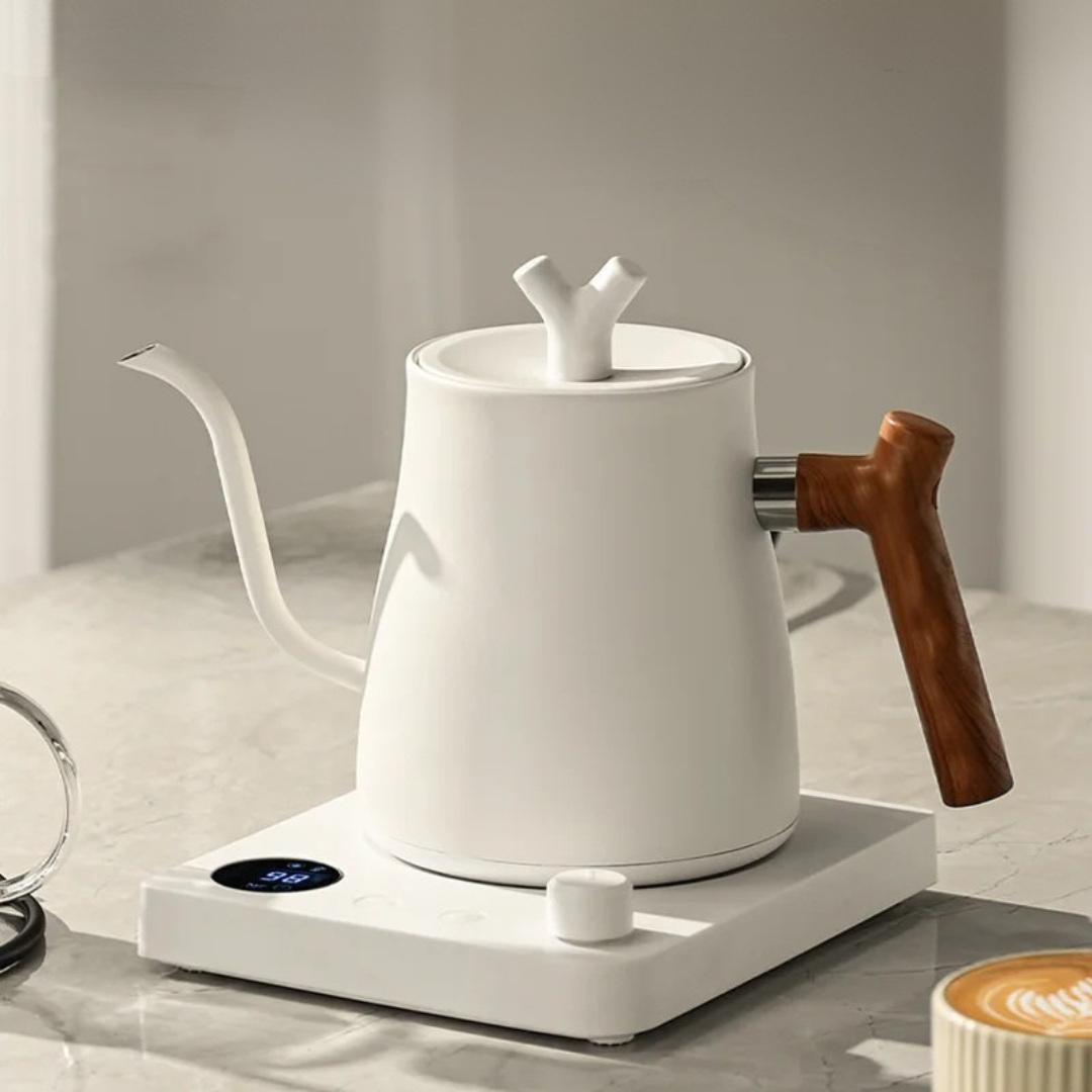 Gooseneck Electric Kettle