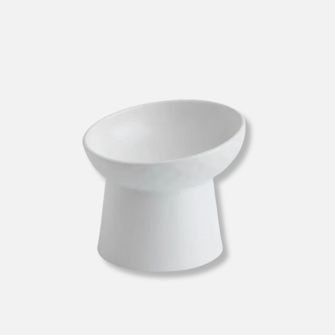 Elevated Ceramic Pet Bowl