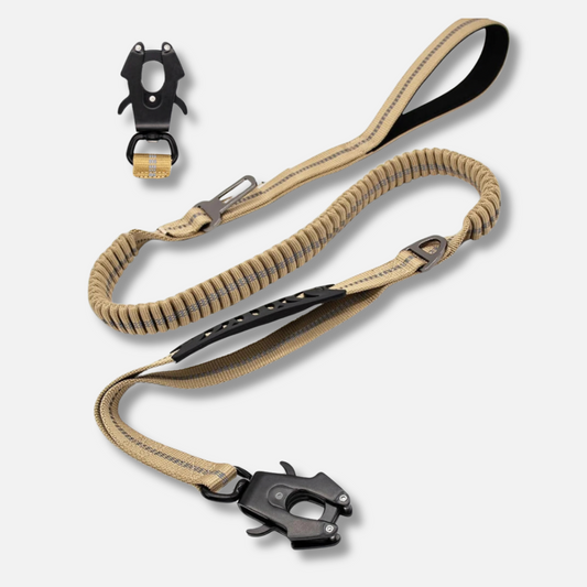 Dog Leash - Reflective Shock Absorbing with Car Seatbelt