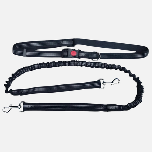 Hands-Free Dog Leash with Waist Belt