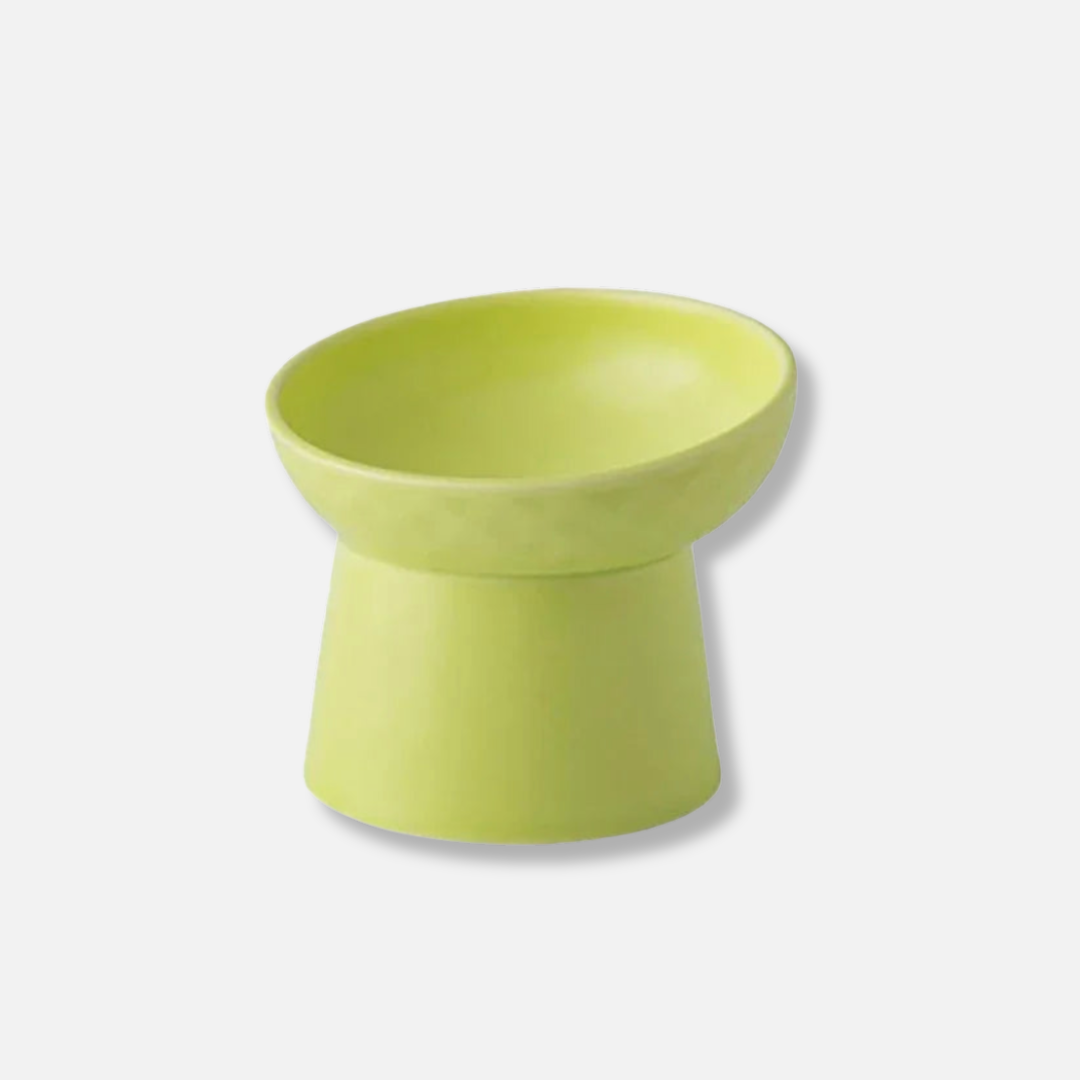 Elevated Ceramic Pet Bowl