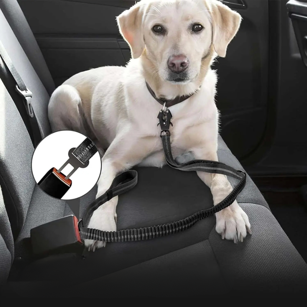 Dog Leash - Reflective Shock Absorbing with Car Seatbelt