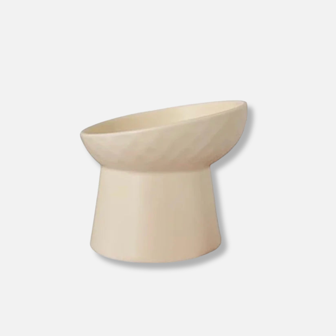 Elevated Ceramic Pet Bowl