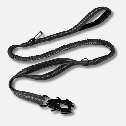Dog Leash - Reflective Shock Absorbing with Car Seatbelt