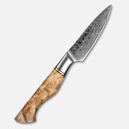 HEZHEN Master Damascus Knife Set