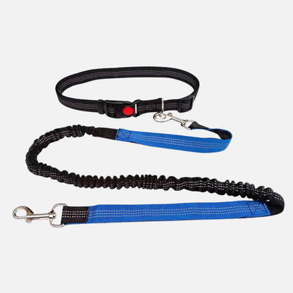Hands-Free Dog Leash with Waist Belt