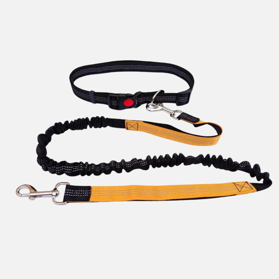 Hands-Free Dog Leash with Waist Belt
