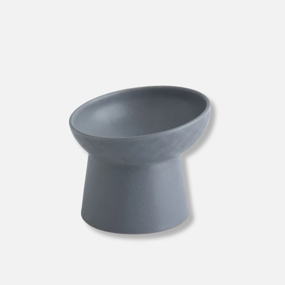 Elevated Ceramic Pet Bowl