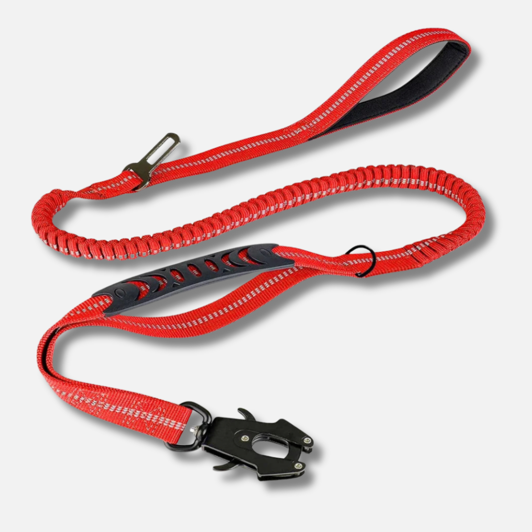 Dog Leash - Reflective Shock Absorbing with Car Seatbelt