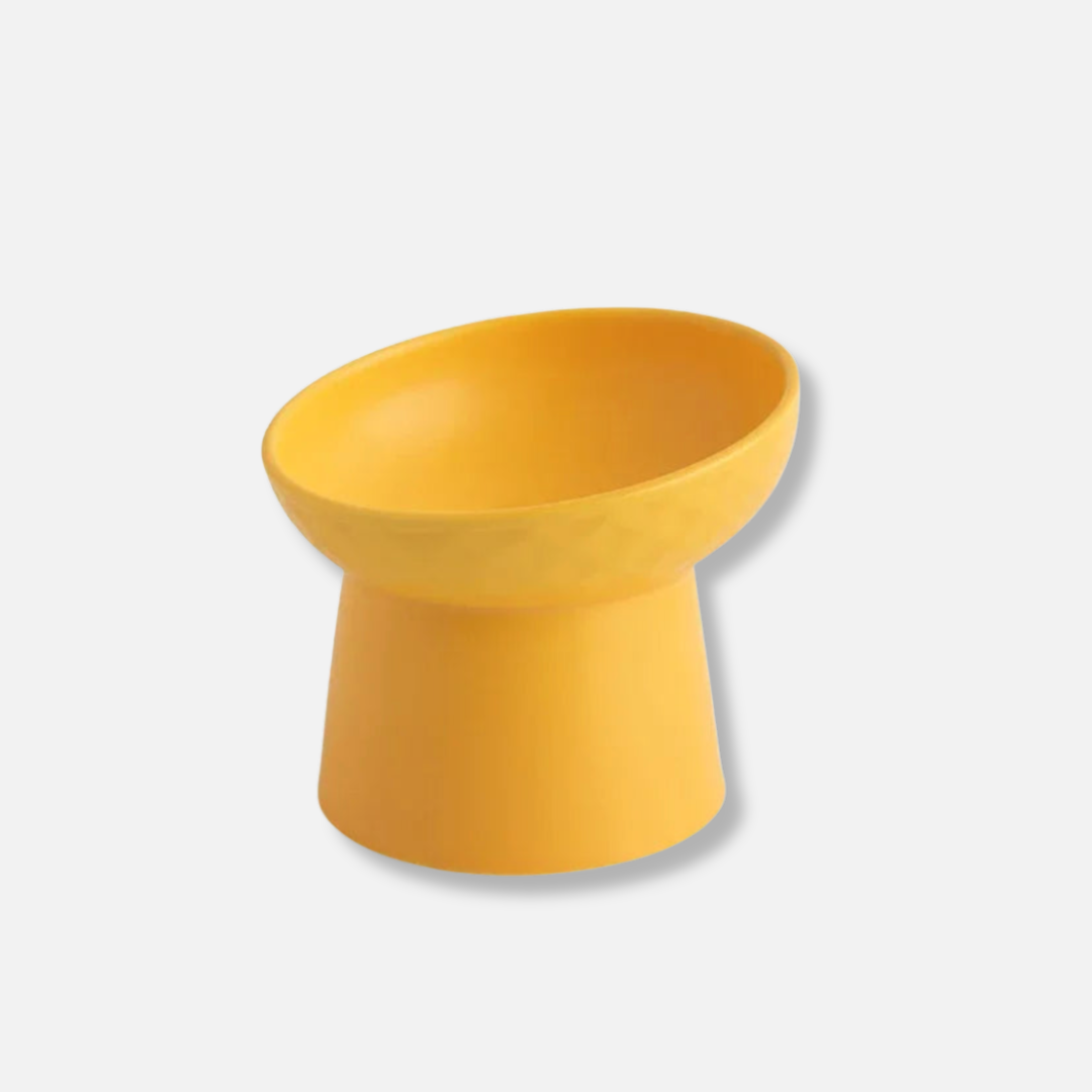 Elevated Ceramic Pet Bowl