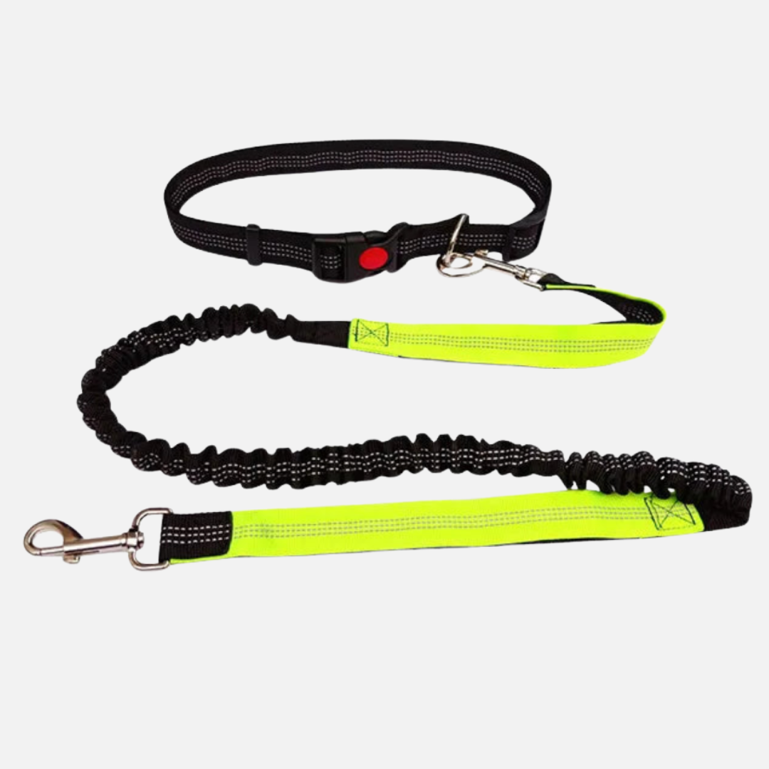 Hands-Free Dog Leash with Waist Belt