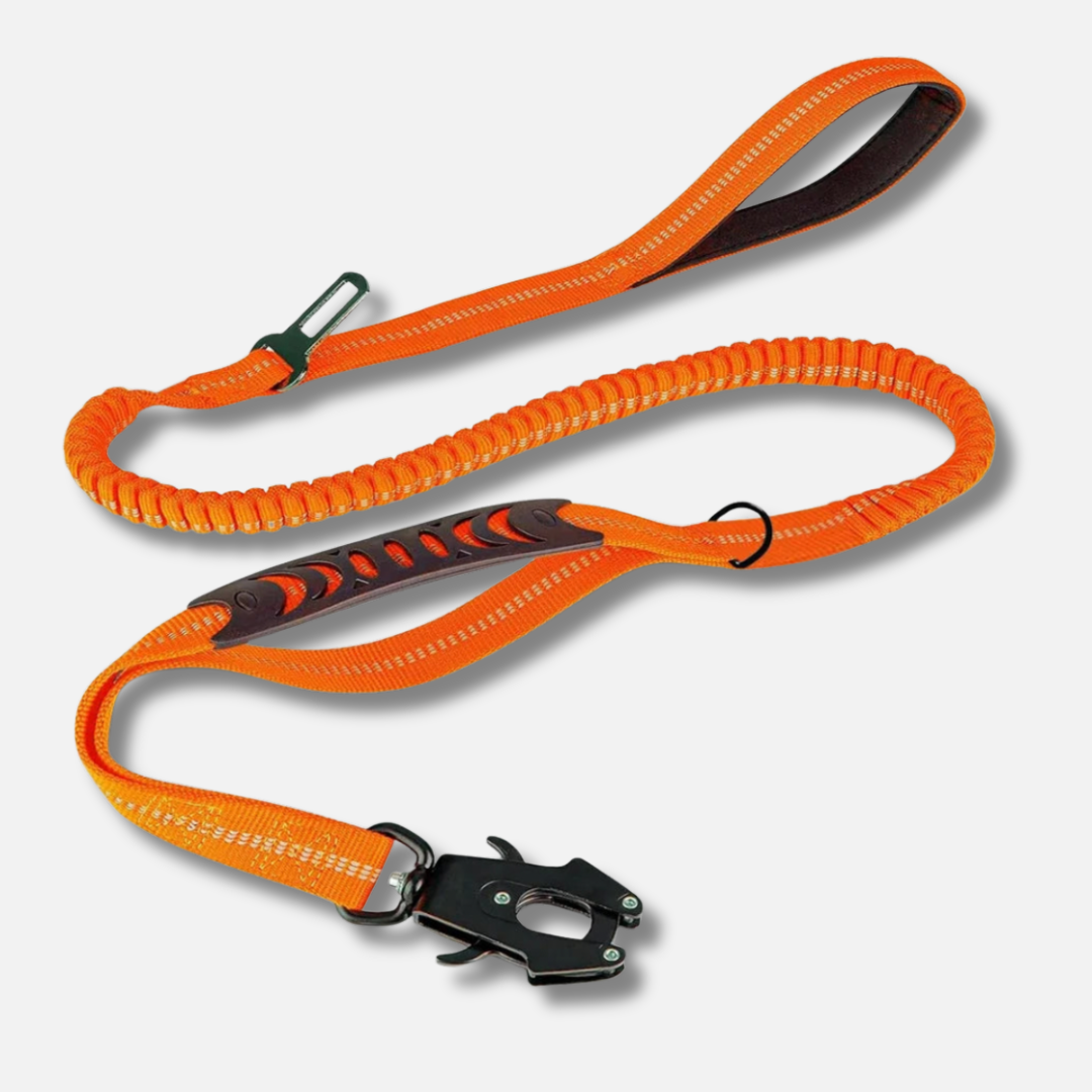 Dog Leash - Reflective Shock Absorbing with Car Seatbelt