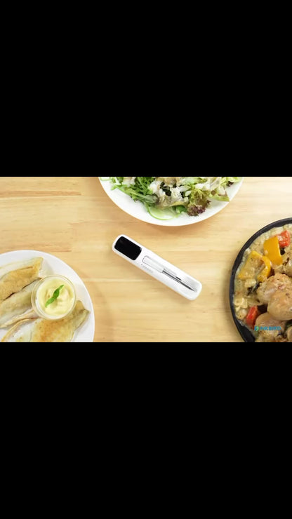 INKBIRD Mini Wireless Meat Thermometer